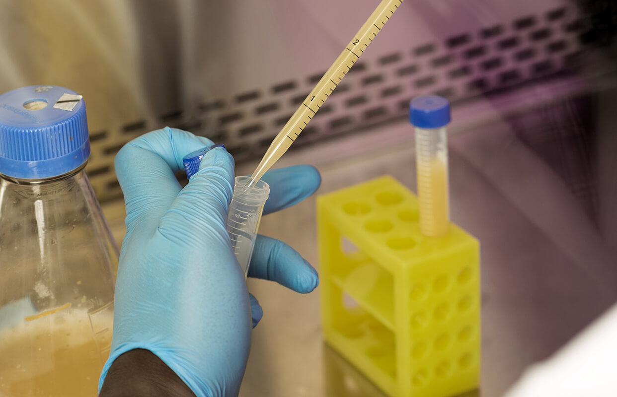 A Noblegen scientist at work